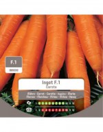 Ingot F.1 Carrot Seeds in Bag