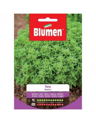 Dwarf Basil Seeds in Bag