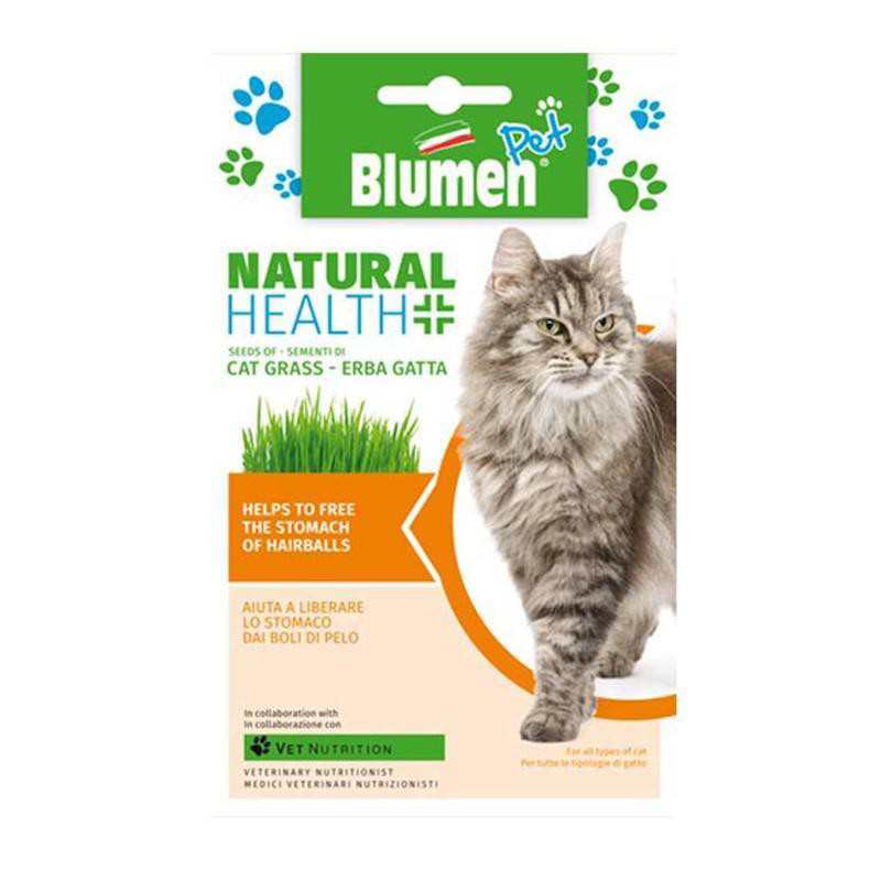 Grassamen - Katze Grassamen - Katze