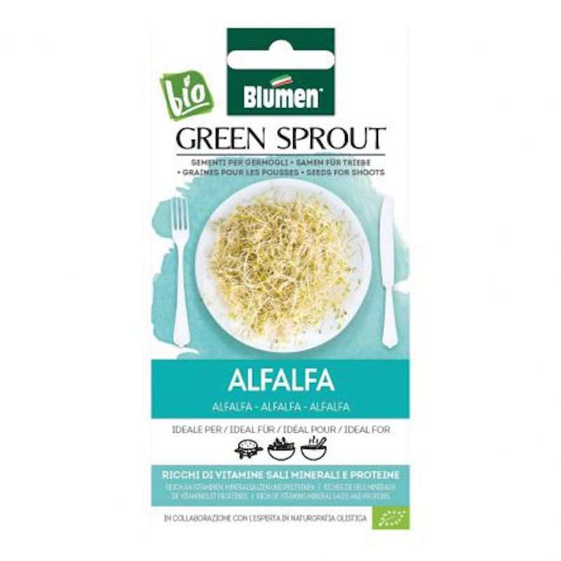 Seeds for Alfalfa Sprouts