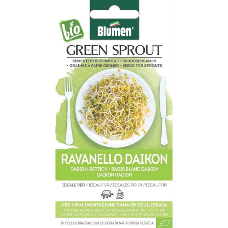 Daikon Radish Sprout Seeds