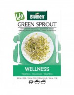 Wellness Mix Seeds for Sprouts