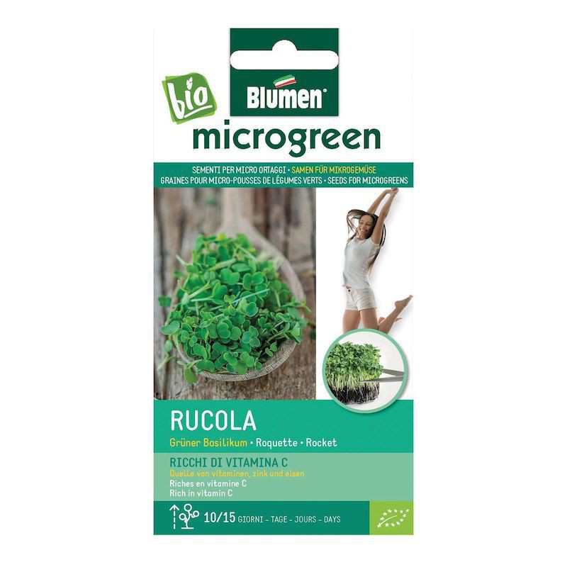 Samen für Rucola Microgermogli