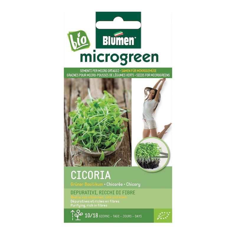 Seeds for Chicory Micro-shoots