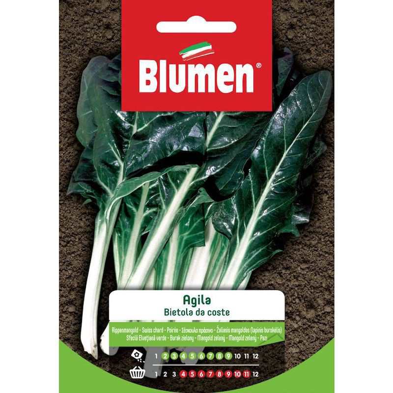 Chard Seeds from Coste Agila Chard Seeds from Coste Agila