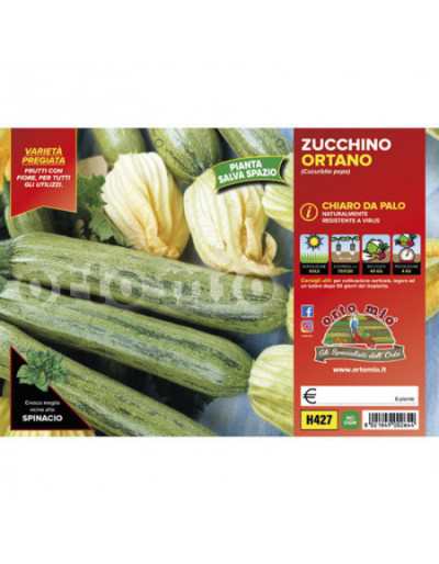 Sei Piante di Zucchino...