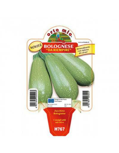Zucchini Bolognese to Fill...