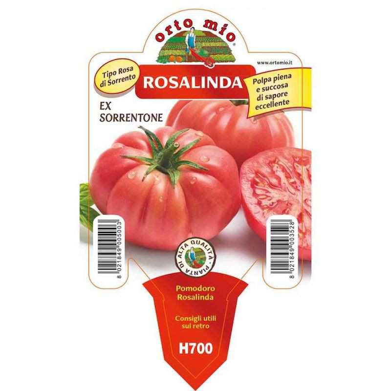 Sorrentone Rosalind Tomato...