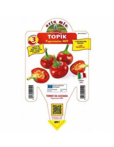 Topik F1 Anchovy Hot Round...