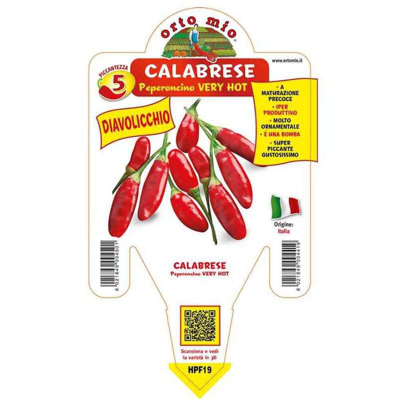 Pianta di Peperoncino... Pianta di Peperoncino...