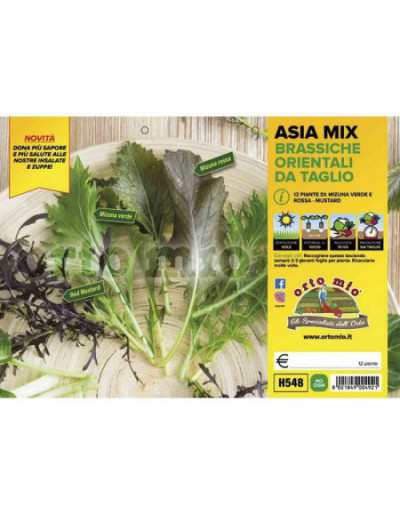 Piantine Asia Mix Brassiche...
