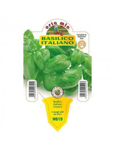 Basil Plant Ita Genovese...