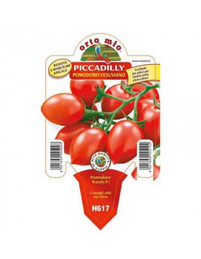 Vesuvian Piccadilly Tomato...