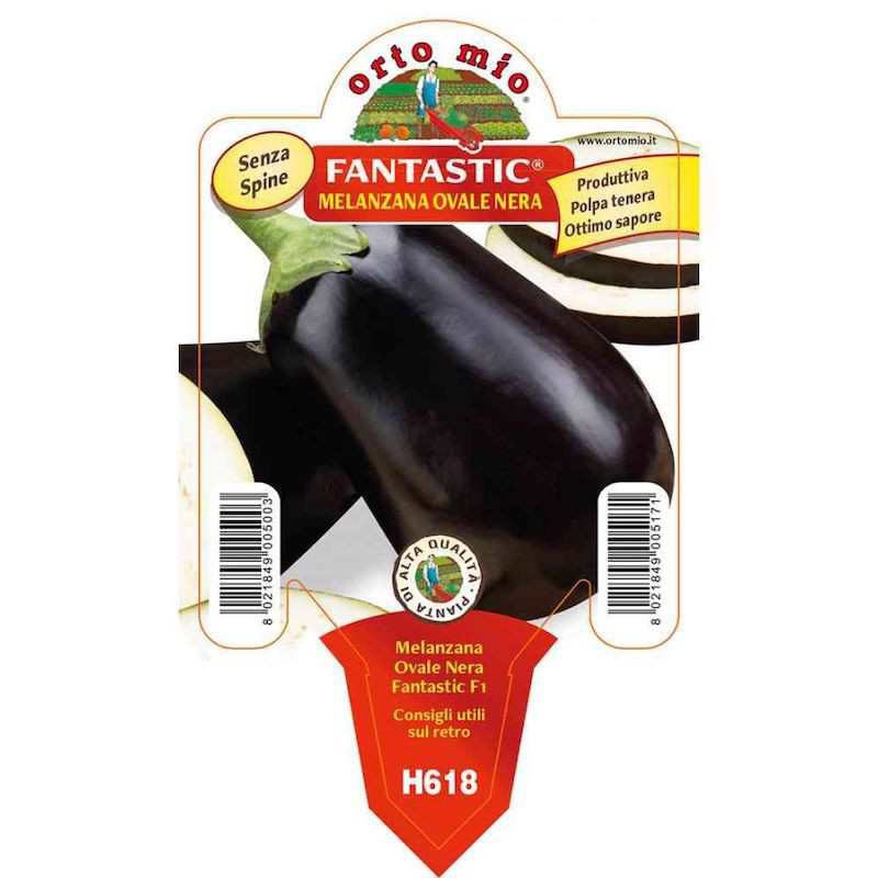 Fantastic Oval Eggplant...