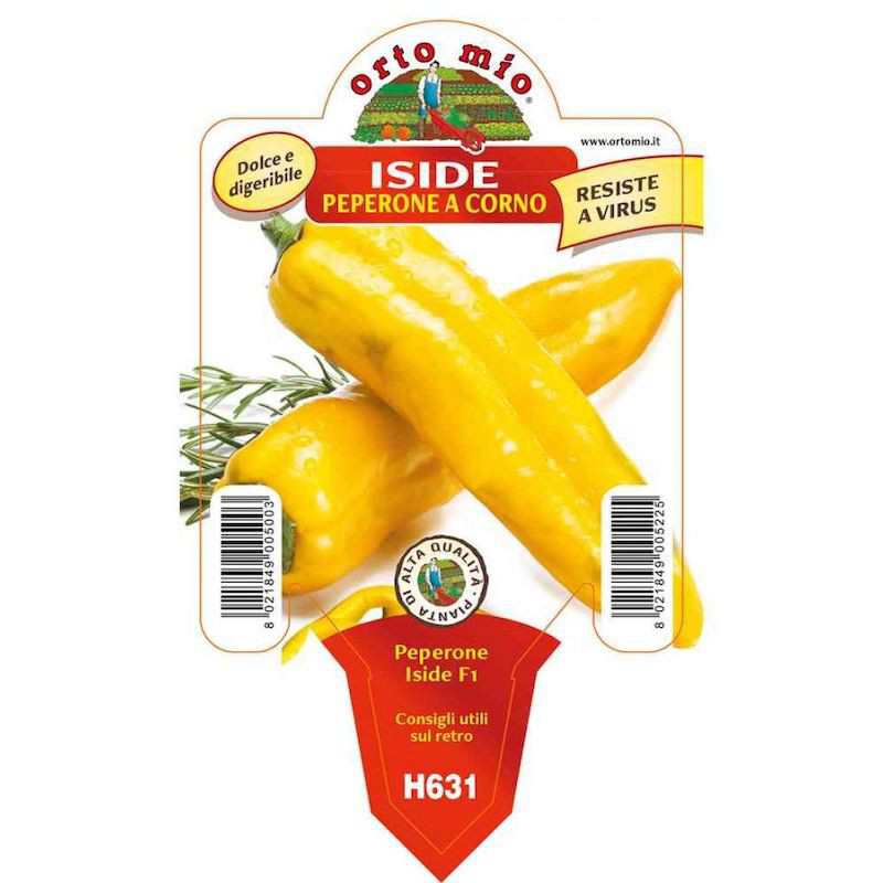 Isis Yellow Horn Pepper...