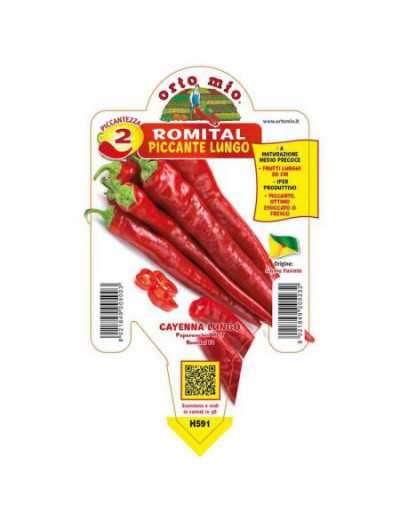 Lång Romital Pepper Plant i...