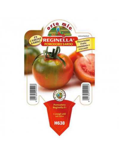 Planta de tomate Reginella...