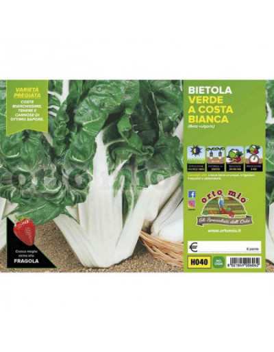 Plantas de acelga de Coste Verde y Bianca Lusiana