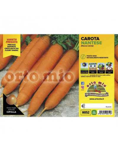 Nantese Soprano Carrot Plants