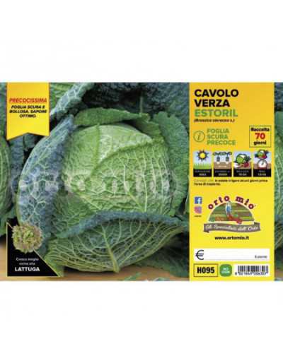 Cabbage Plants Dark Savoy...