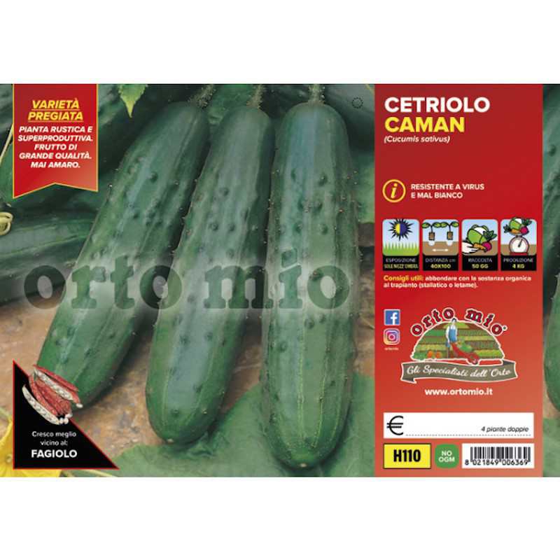 Classic Cucumber Plants...