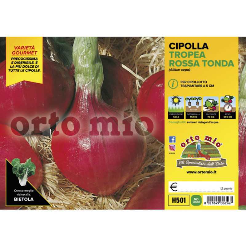 Tropea Rossa Tonda Onion...