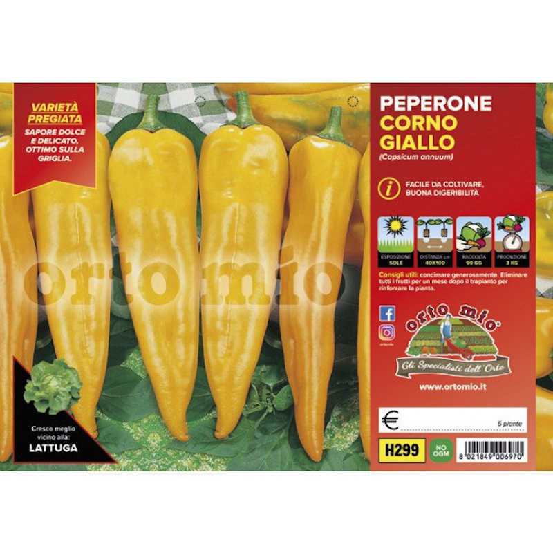 Yellow Horn Pepper Plants...