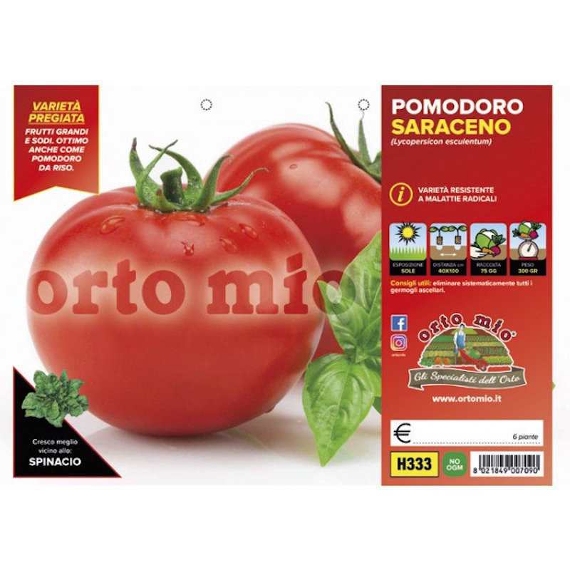 Saraceno Tondo Tomato...