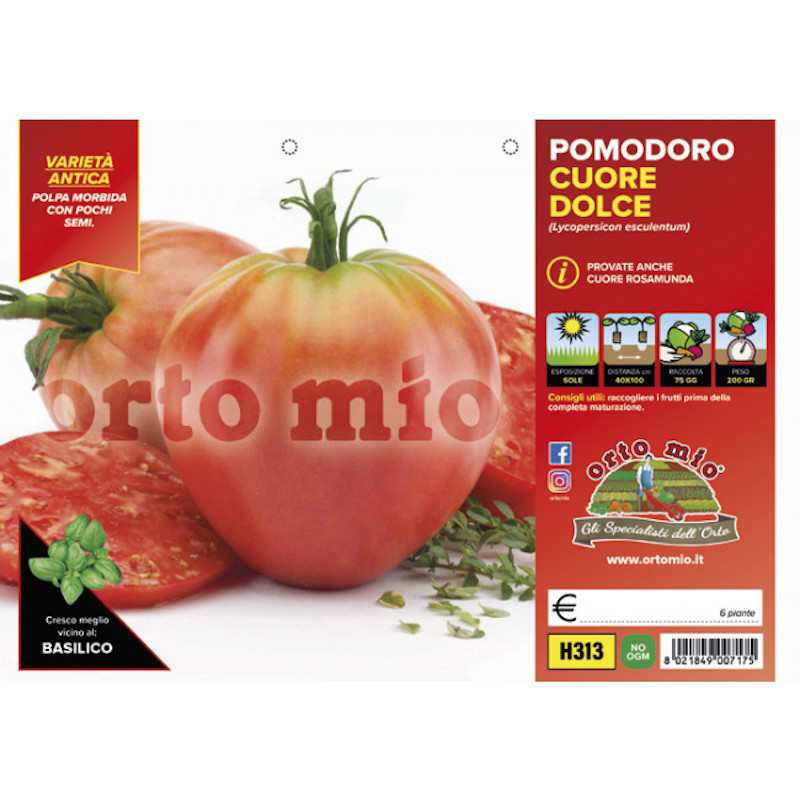 Plantas de tomate Classic... Plantas de tomate Classic...