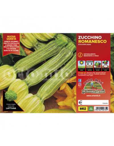 Plantes de Courgettes...