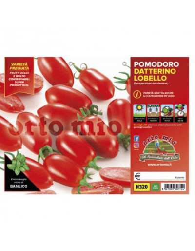 Lobello Datterino Tomato...