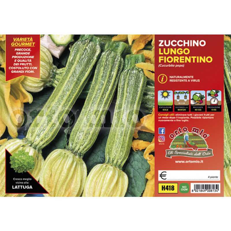Plants of Zucchini Lungo...