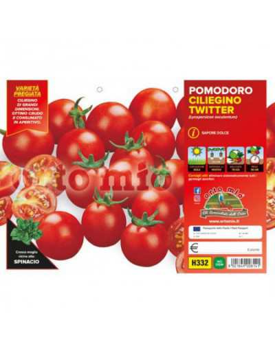 Piante di Pomodoro...