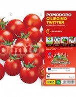 Cherry Tomato Plants Bingo F1
