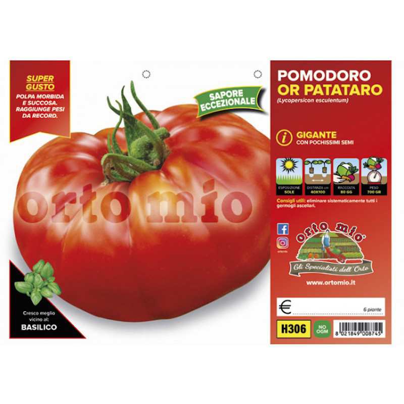 Giant Tomato Plants Or...