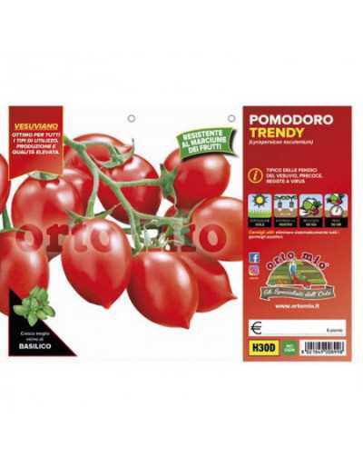 Plantas de tomate vesuviano...