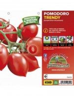 Plantas de tomate vesuviano...