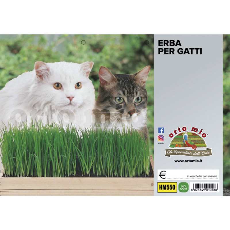 Cat Grass - Fescue mixture
