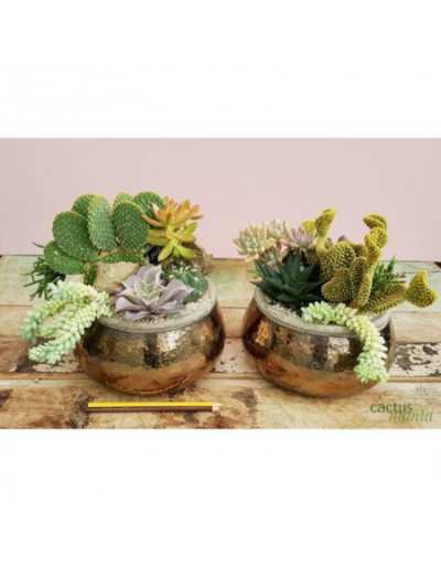 Composizione Cactus Bronzo...