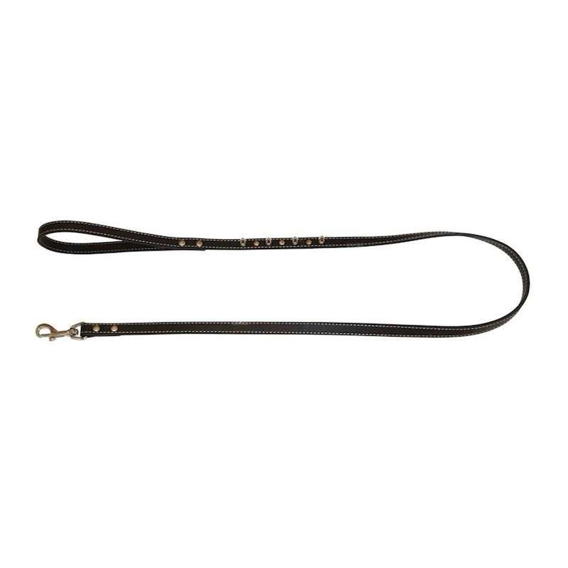 Leather Leash with Studs 2...