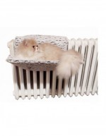 Chenil pour chats radiateur