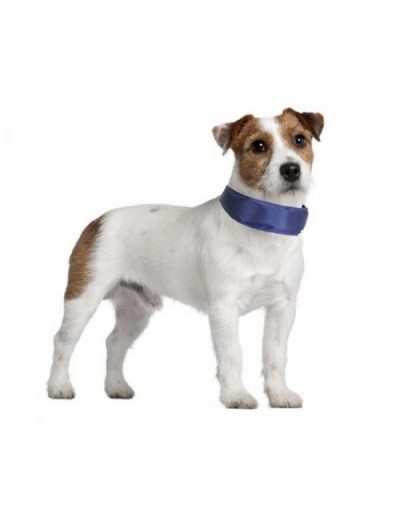 Fresh Cooling Collar 34 x 4 cm