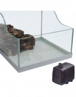 Lily Tortue pour Reptiles 30