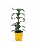 Bougeoir Plante 80 cm