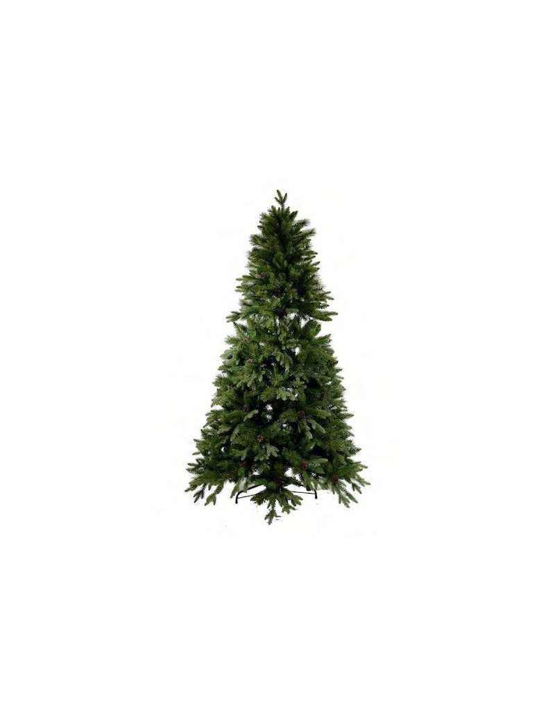 Grüner Sinai-Weihnachtsbaum...
