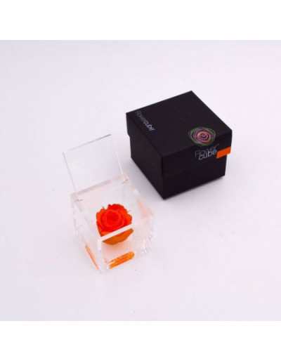 Flowercube 10 x 10 Stabilisé Rose Orange