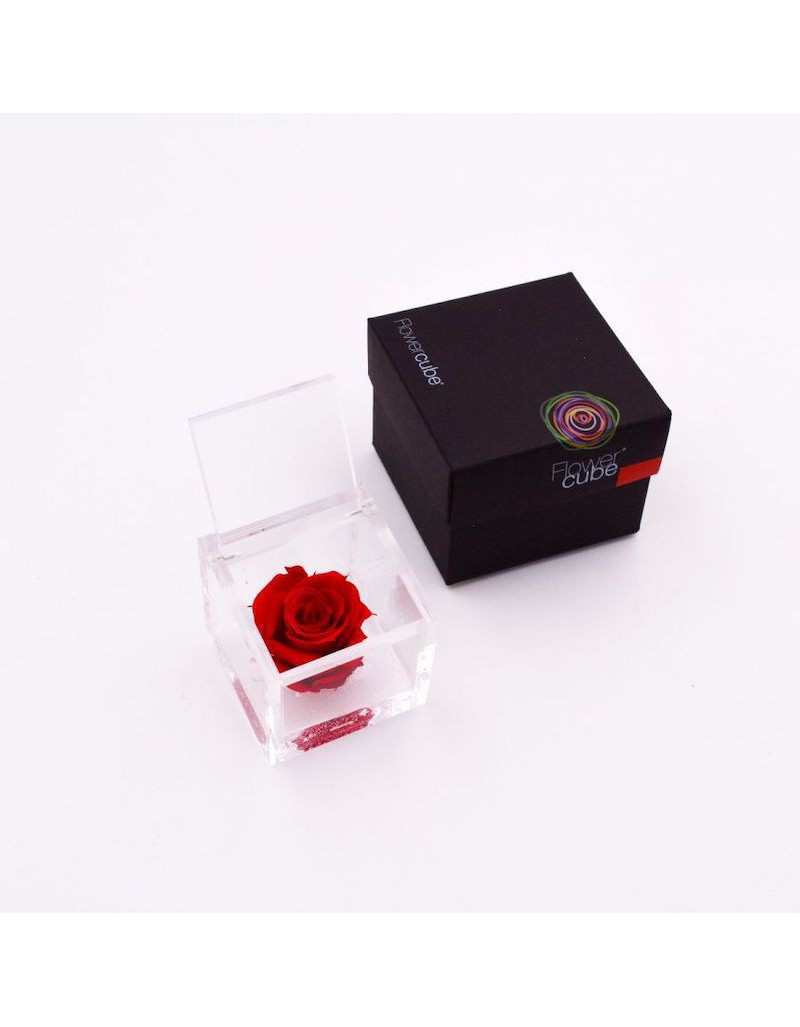 Flowercube 10 x 10 Rouge Stabilisé Rose
