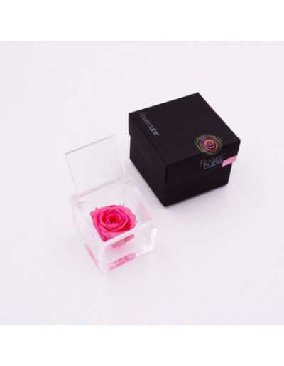 Flowercube 12 x 12 Konservierte Rose Rosa