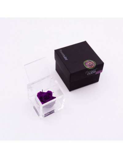 Flowercube 12 x 12 Rosa Stabilizzata Viola