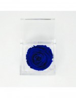 Cubo de Flores 12 x 12 Azul...